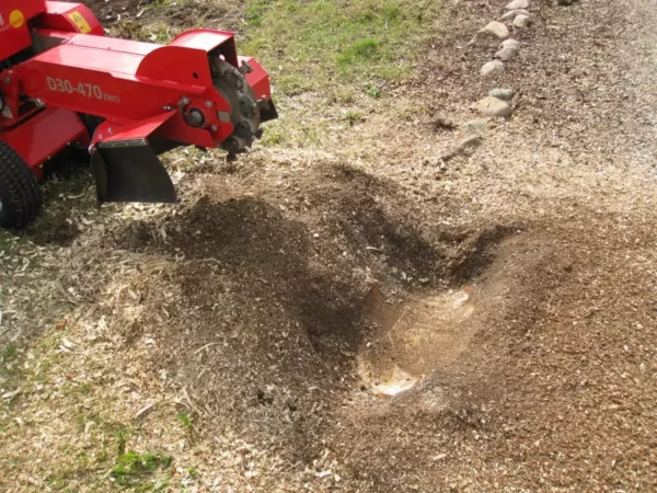 D30 Stump Grinder